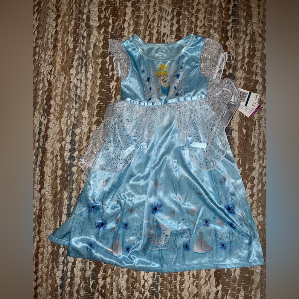Disney Princess Blue and Silver Costume
